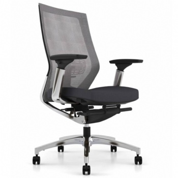 comfortable best office chair for back pain use